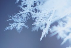 tiny blue