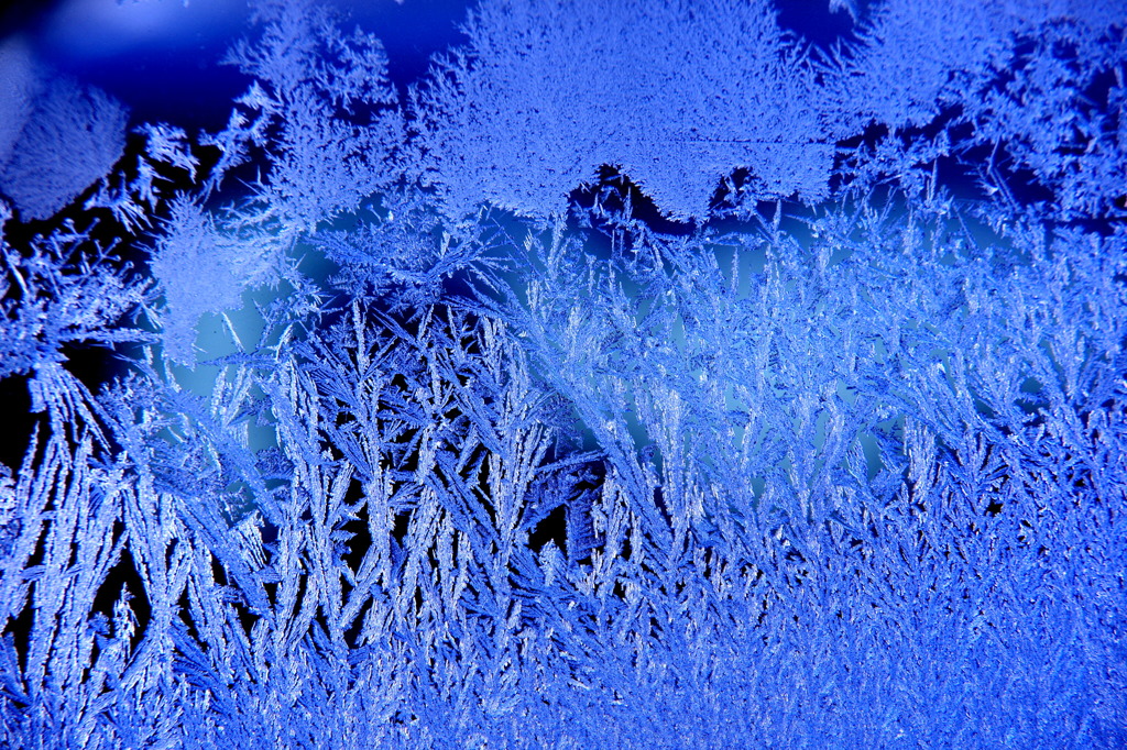 frozen blue1