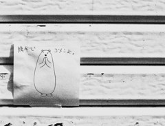message from …