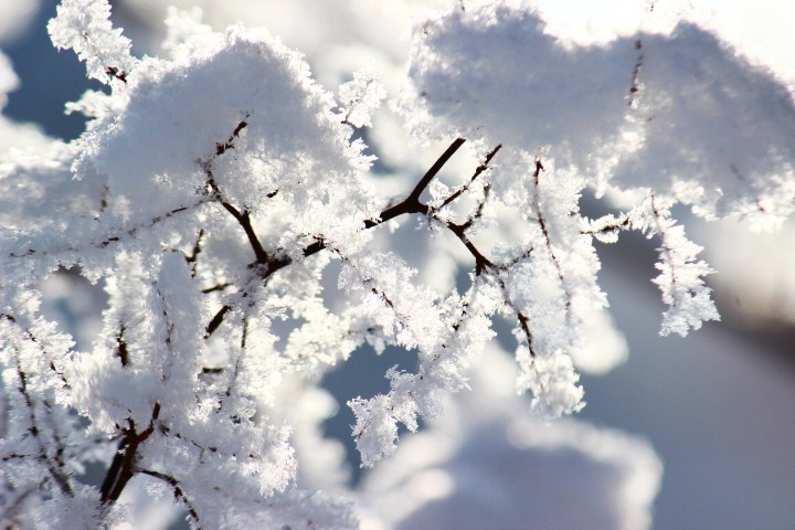 white time