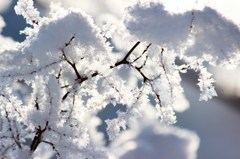white time