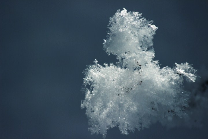 雪の華***