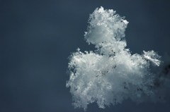 雪の華***