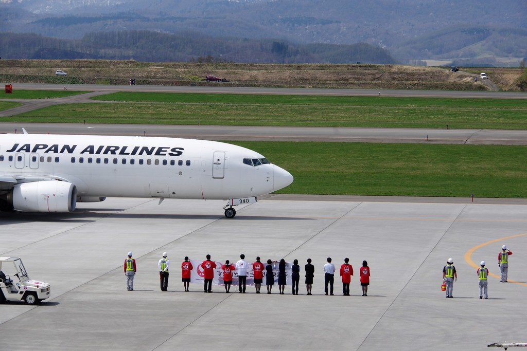 JAL staff