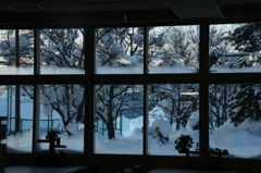 窓から…冬