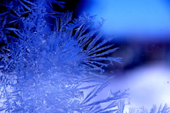 frozen blue3