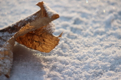 －２．２℃