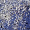 氷点下20℃