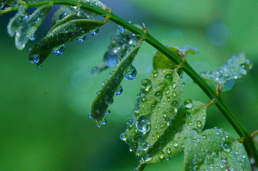 water