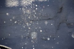 煌きの朝