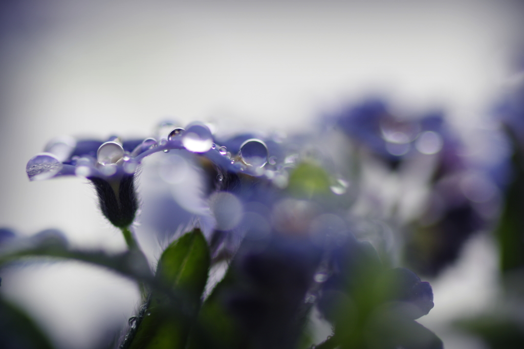 water