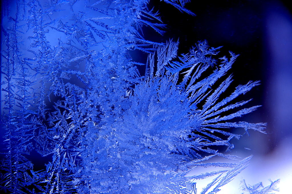 frozen blue2