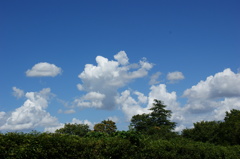 夏空