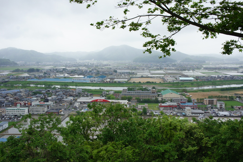 公園よりの街並み