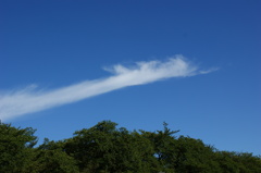 青空