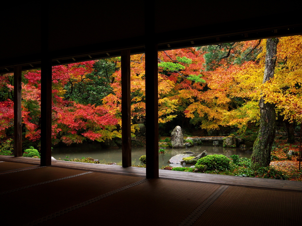 錦色の庭園