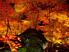 獅子岩と紅葉