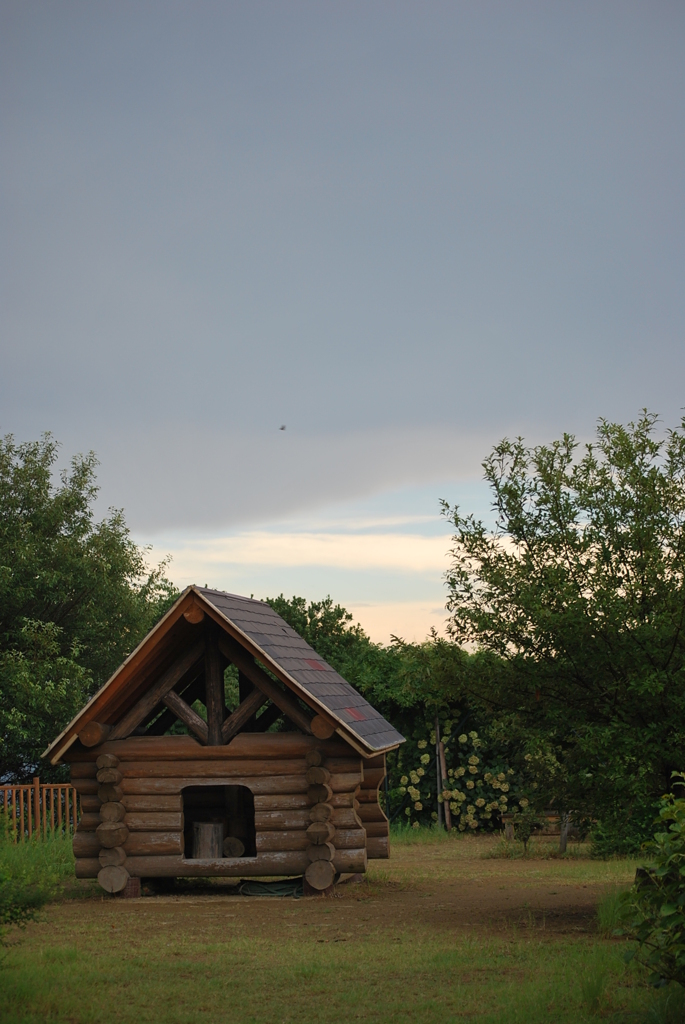 DSC_0041