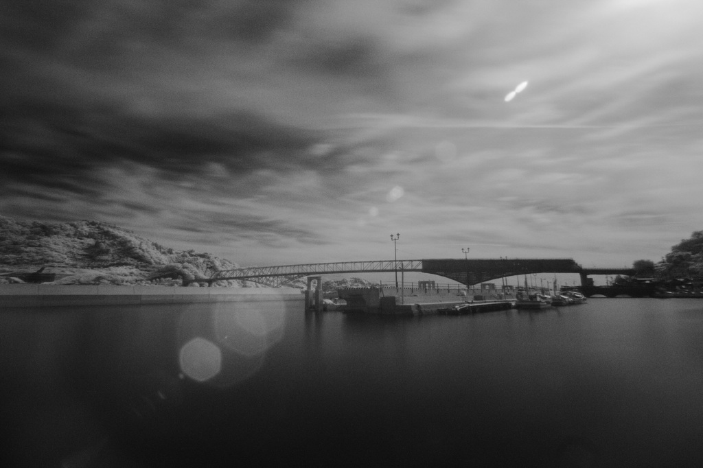 _MG_3050