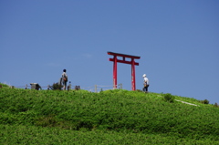 たどり着く人