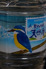 カワちゃんにフラれました　－１
