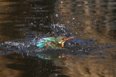 水遊び