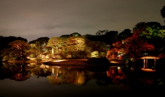 庭園　ライトアップ