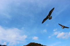 大空へ