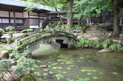 池