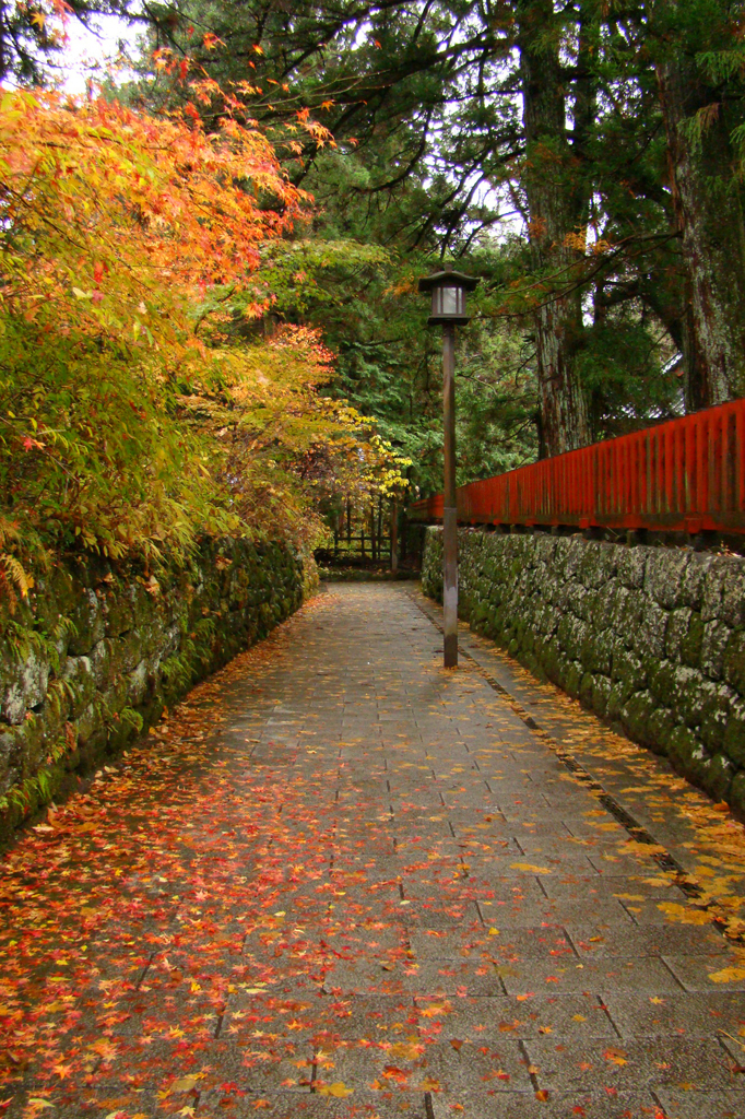 秋の小道