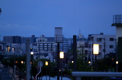 夜の街