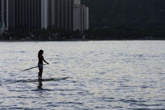 Stand up paddle surfing