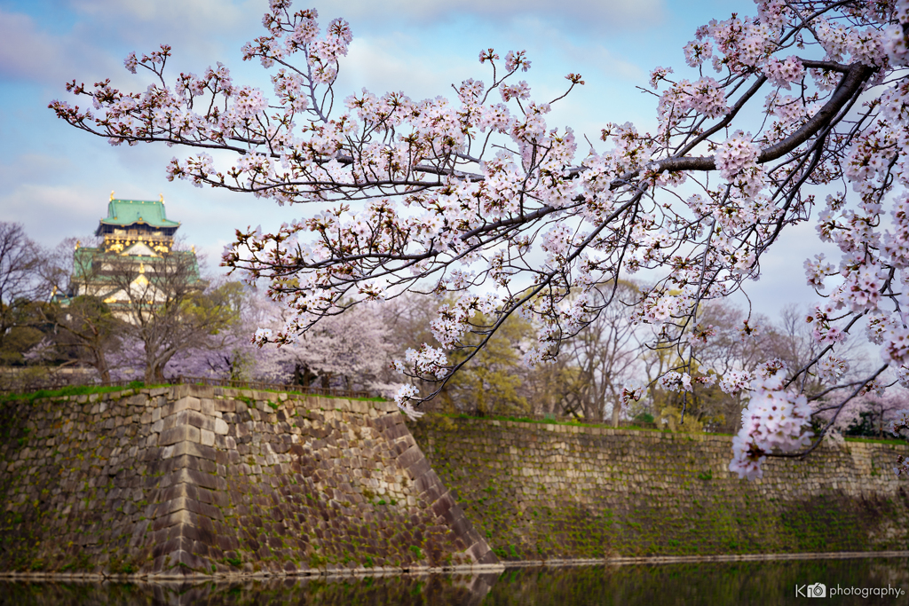 2020 Sakura 5