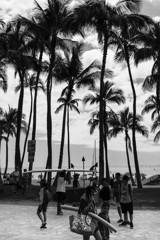 Kalakaua Avenue