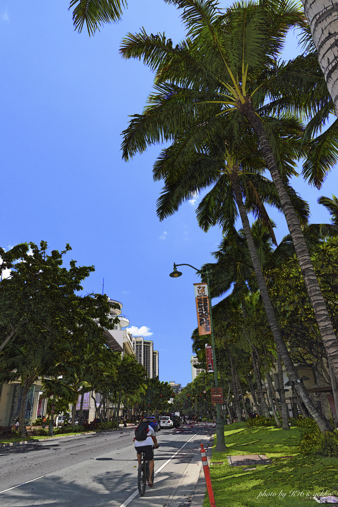 Kalakaua Avenue 1
