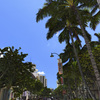 Kalakaua Avenue 1