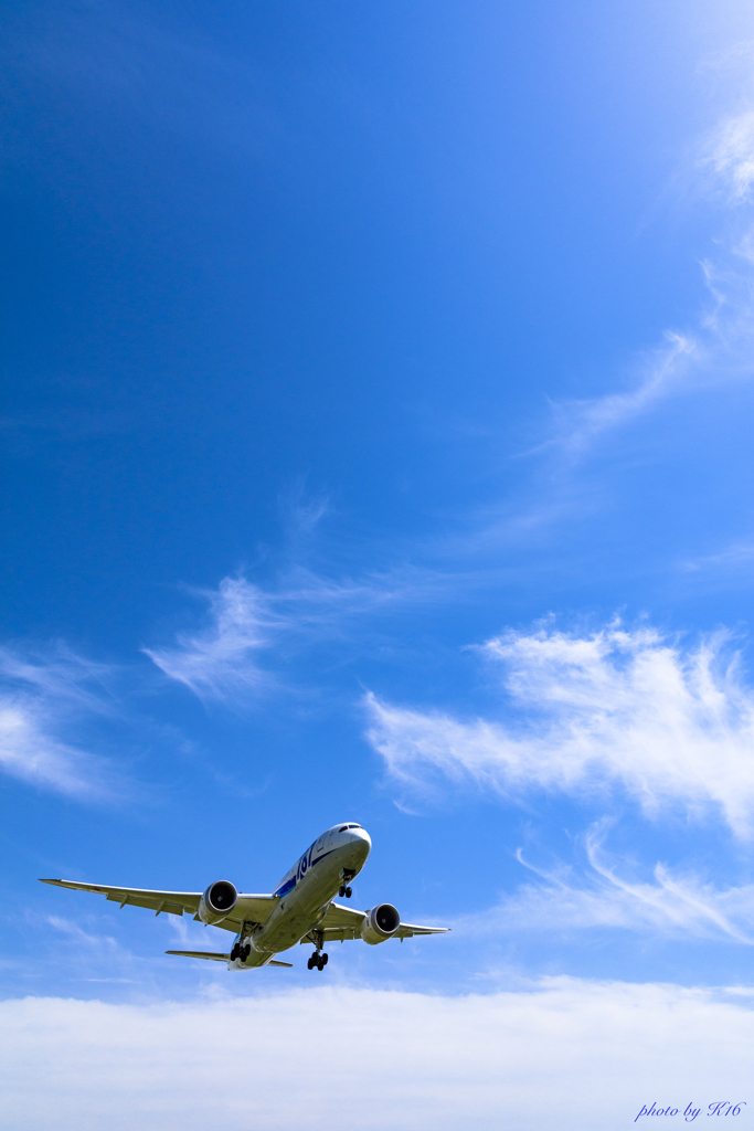 大空 x Boeing 787