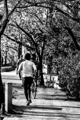 Story 22