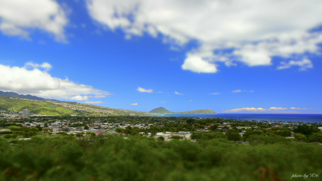 View of Oahu　1