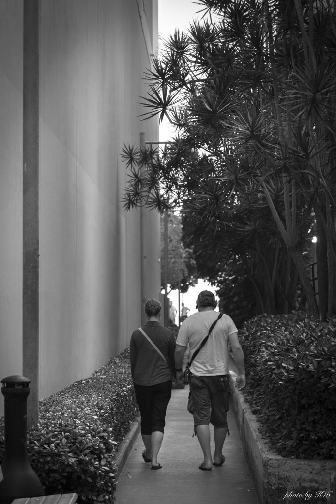 Walk  海を見に行こう