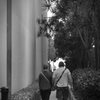 Walk  海を見に行こう