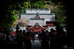 霧島神宮