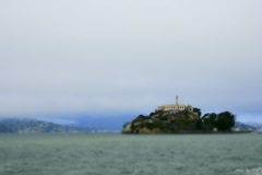 Alcatraz Island