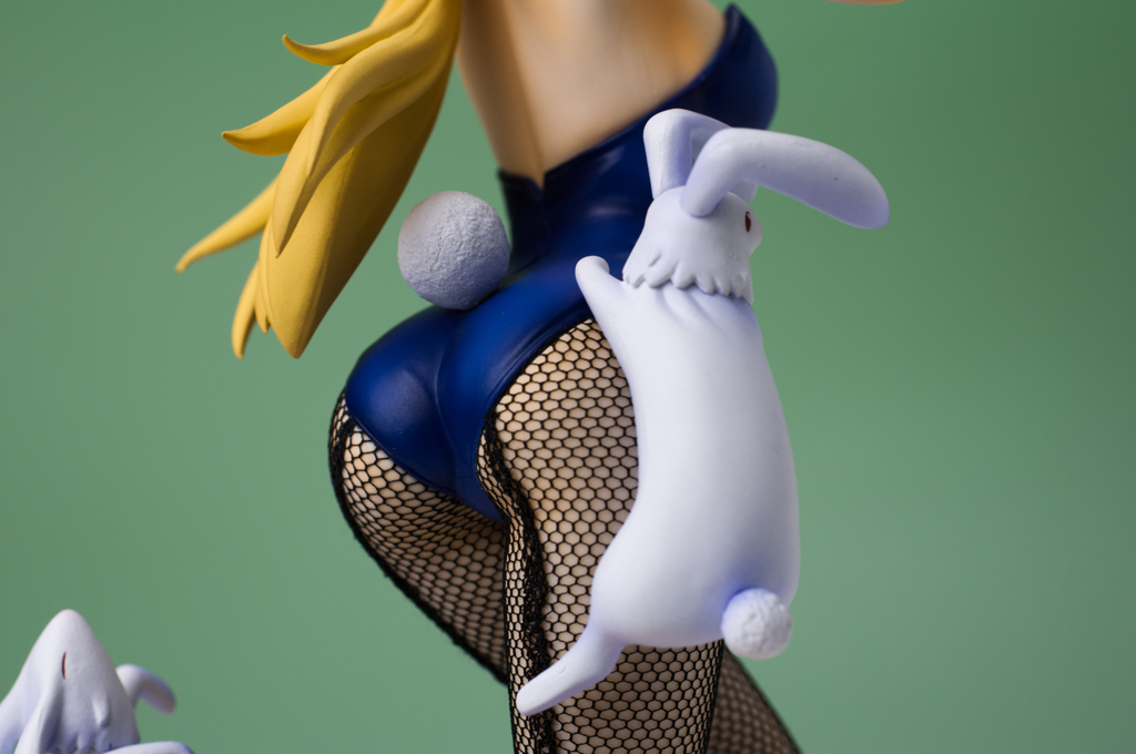 IMGP2508：シャルロット・デュノア　Bunny Style