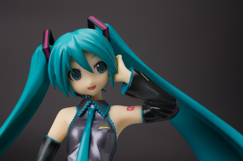 IMGP2198：初音ミク　１／８