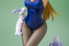 IMGP2503：シャルロット・デュノア　Bunny Style