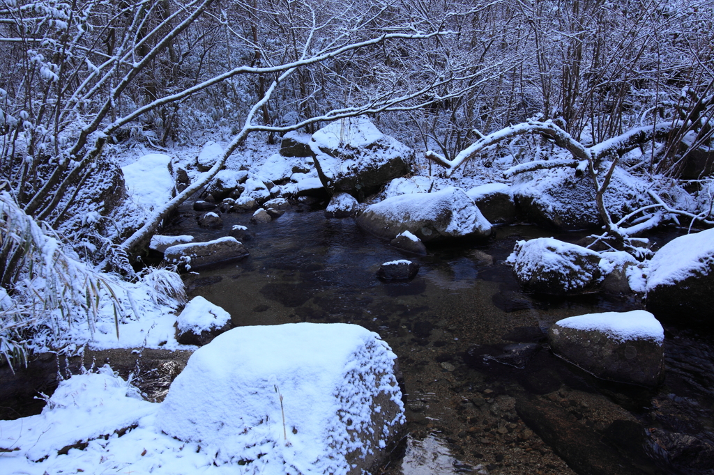 雪２