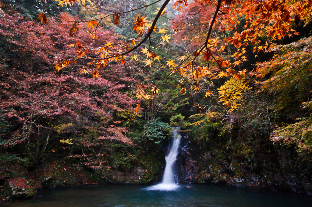 紅葉滝