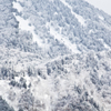 山雪