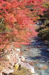 紅葉×川